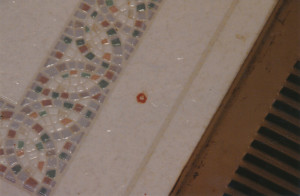 Exhibit-186-Blood-Spot-In-Avery-Bathroom-1024x668