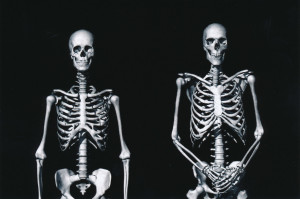 Exhibit-389-Graphic-Skeletons-1024x680