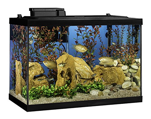 Tetra 20 Gallon Complete Aquarium Kit w/Filter Heater LED & Plants