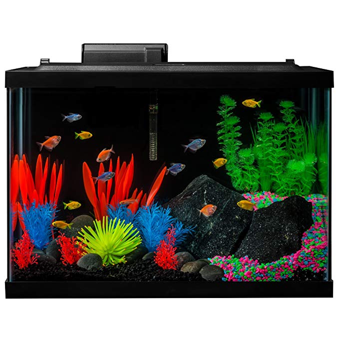 GloFish Fish Tank Kit, Includes LED Lighting and Decor