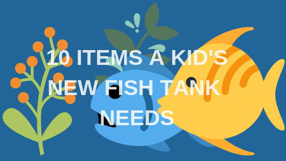 What Are 10 Things A Kid's New Fish Tank Needs?